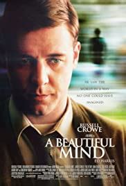 a beautiful mind subtitles